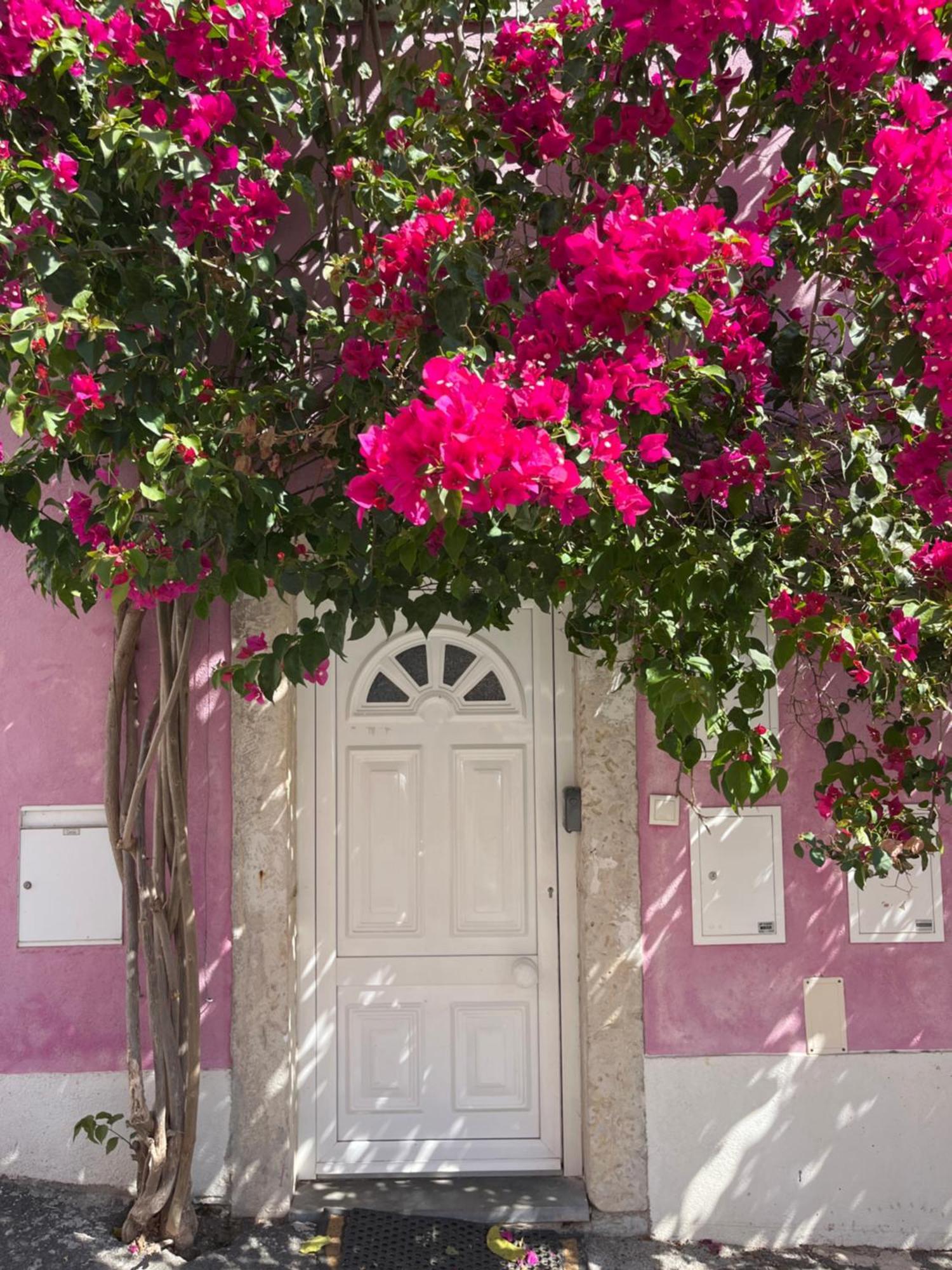 Casa Cor De Rosa Lägenhet Lisboa Exteriör bild