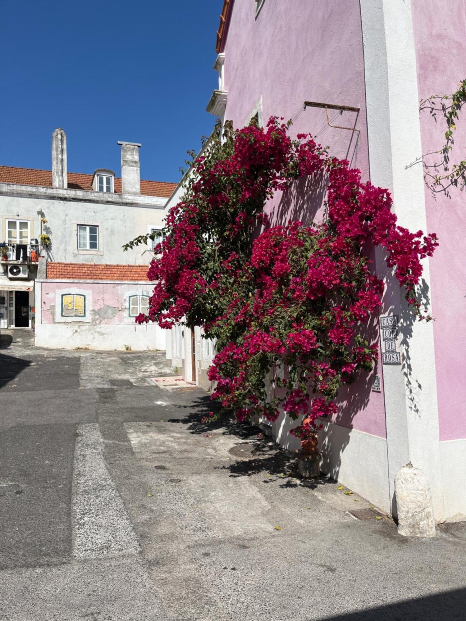 Casa Cor De Rosa Lägenhet Lisboa Exteriör bild