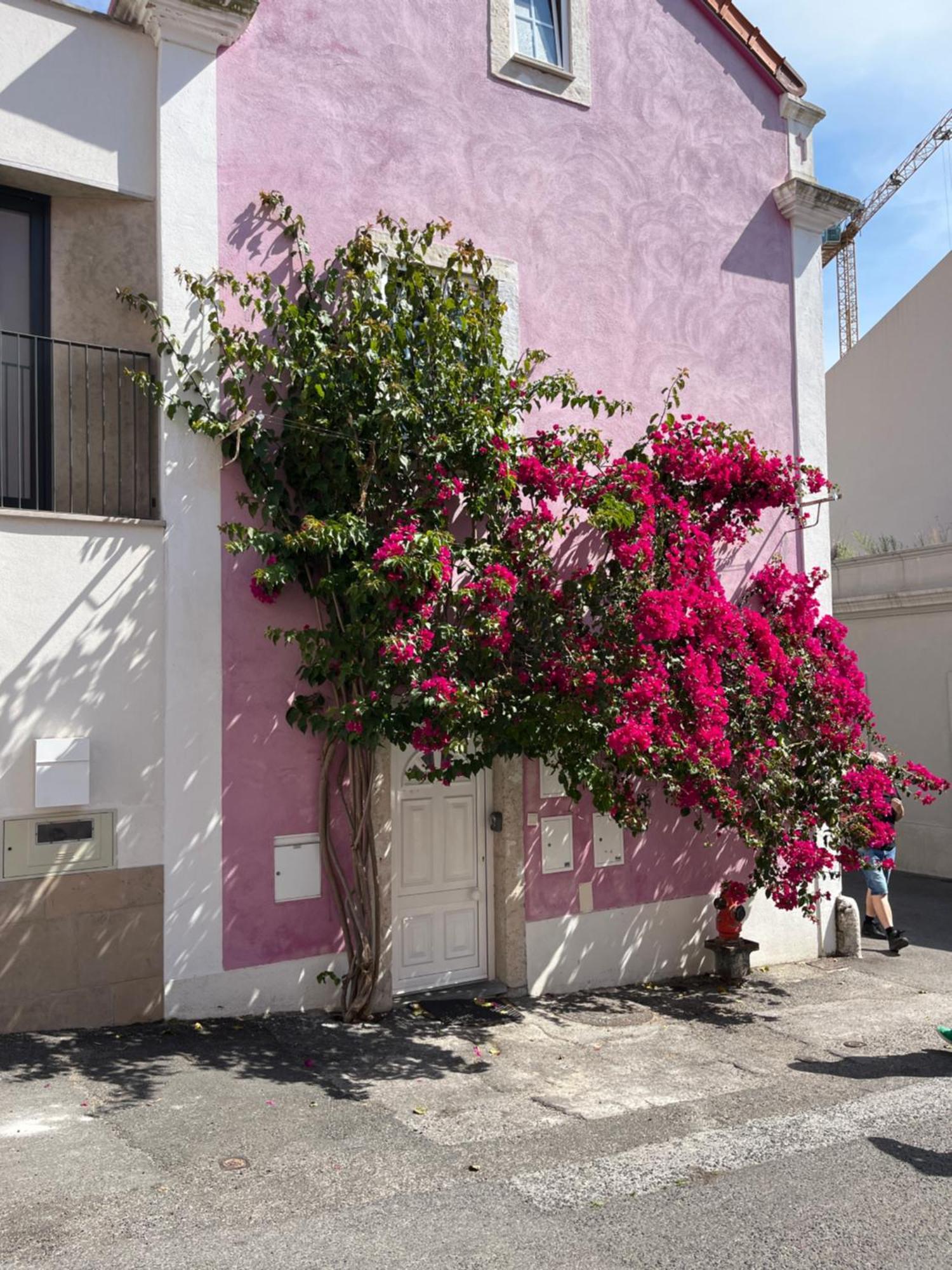 Casa Cor De Rosa Lägenhet Lisboa Exteriör bild